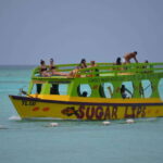 Tobago: Glass Bottom Boat & Highlights Tour - Who Is This Tour Best For?