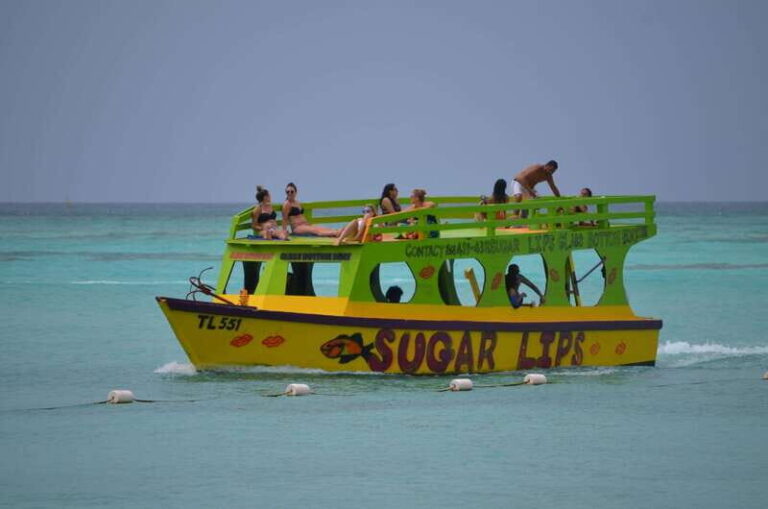 Tobago: Glass Bottom Boat & Highlights Tour - Who Is This Tour Best For?