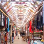 Todos Santos Tequila Tasting and Cultural Tour - The Itinerary in Detail