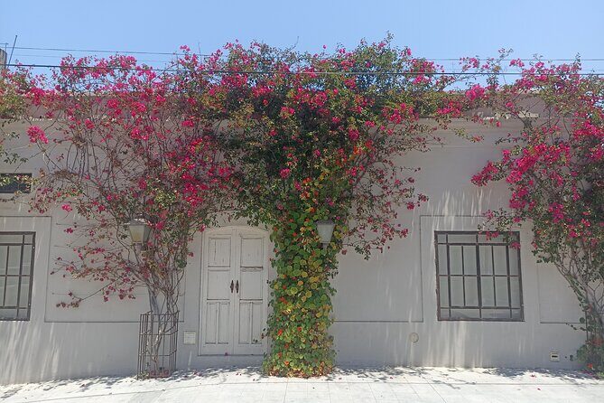 Todos Santos Treasure Hunt - The Sum Up: Is the Todos Santos Treasure Hunt Worth It?