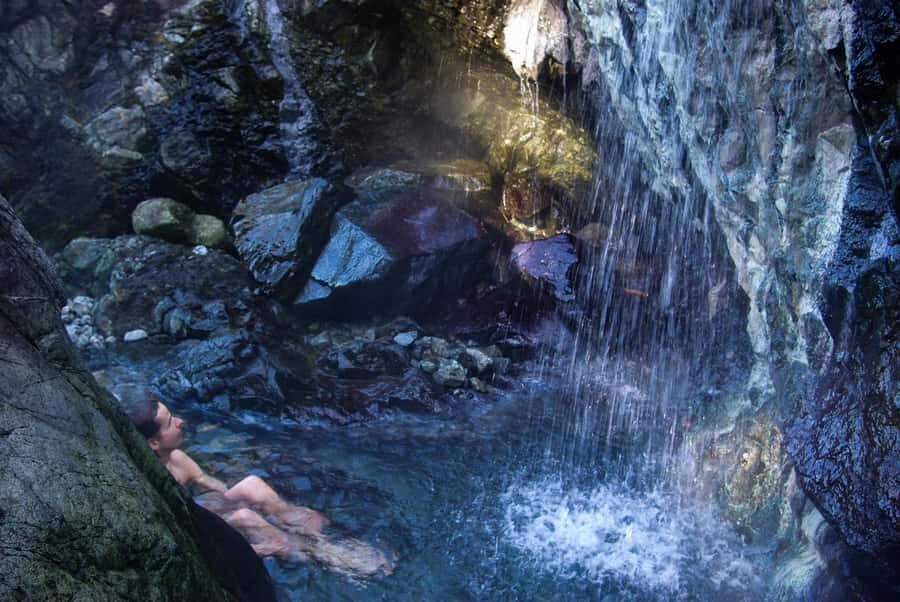 Tofino: Hot Springs Cove Tour with Wildlife Cruise - Authentic Insights from Travelers