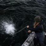 Tofino: Private Boat Tour with Big Tree Trail & Crabbing - Exploring the Big Tree Trail and Meares Island