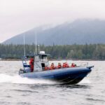 Tofino: Whale Watching Tour with Nature Guide - What Makes This Whale Watching Tour Stand Out