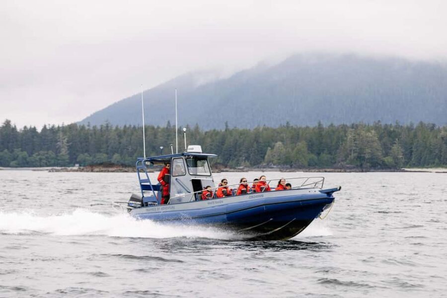 Tofino: Whale Watching Tour with Nature Guide - What Makes This Whale Watching Tour Stand Out