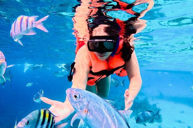 Top Experience: Snorkel Tour & All Inclusive Beach Club - Overview of the Tour