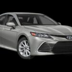 Toronto Airport YYZ Roundtrip Transfer to Toronto (Special Offer) - Key Points