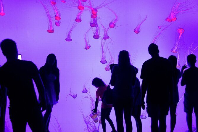 Toronto City Highlights Express Tour - What Travelers Say (Based on Reviews)