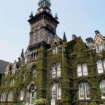 Toronto: Distillery & Old Town Private Walking Tour - Who Will Love This Tour?