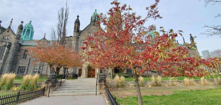 Toronto: Highlights Drive and Walking Tour - Practical Tips for Participants