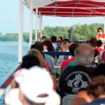 Toronto: Hop-On Hop-Off Bus Tour with Harbour Cruise - The Bus Route and Stops