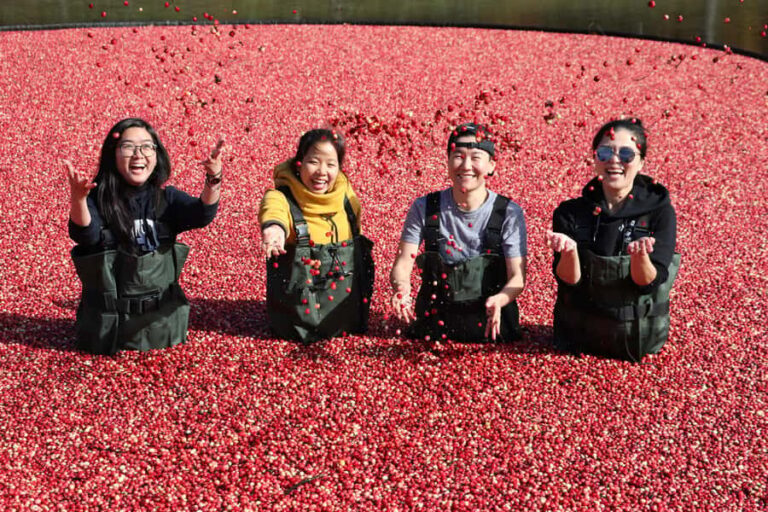 Toronto: Muskoka Cranberry Farm and Hardy Lake Hike - Analyzing the Value and Practical Aspects