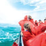 Toronto: Niagara Falls Day Tour with Niagara City Cruise - The Value Proposition
