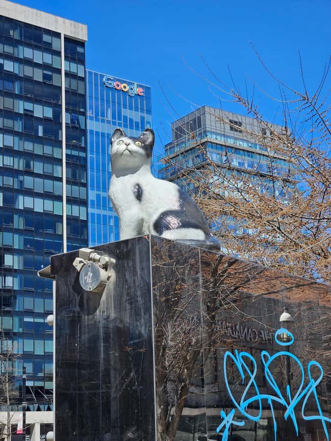 Toronto: Private Walking Tour of City Highlights - What You Get for the Price