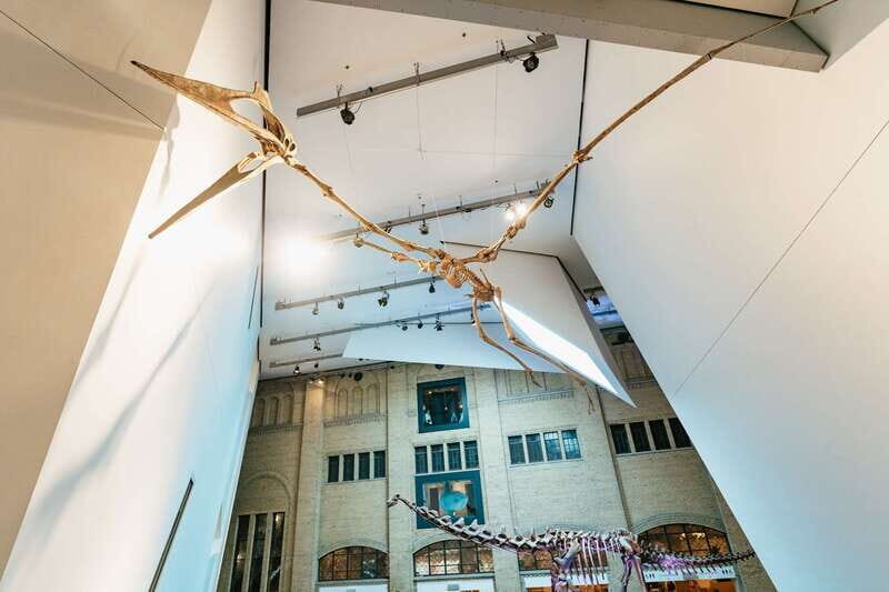 Toronto: Royal Ontario Museum Admission Ticket - Visiting Tips and Practical Details