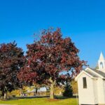 Toronto to Niagara Private Tour in Limousine - The Sum Up