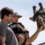 Toronto: Toronto Zoo Entry Ticket - Whos This Tour For?