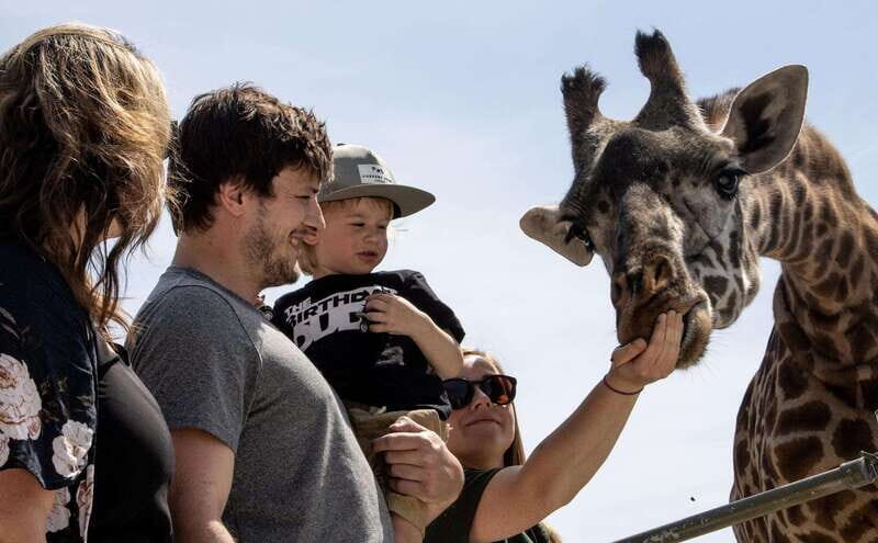 Toronto: Toronto Zoo Entry Ticket - Whos This Tour For?