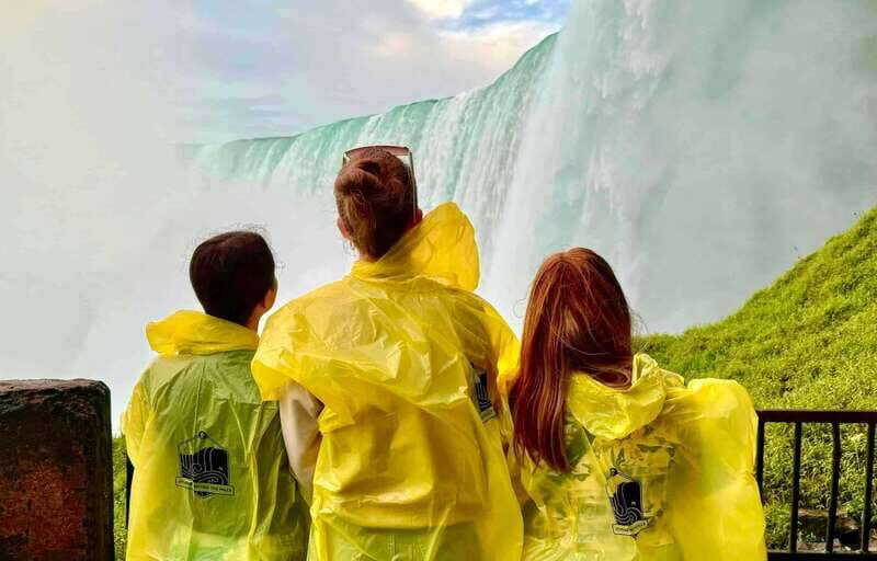 Toronto: Winter Niagara Falls Tour with Attractions Package - The Value Proposition