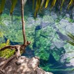 Tour 4 Cenotes Casa Tortuga Tulum. Food + Zipline. Includes Pickup. - The Practicalities: Transportation, Duration, and Group Size