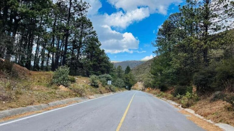 Tour "Arteaga Coahuila" + Guía + Traslados + Tickets - What’s the Value?