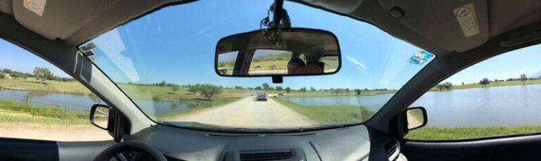 Tour "Bioparque" + Traslados + Tickets incluidos - Why This Tour Offers Good Value