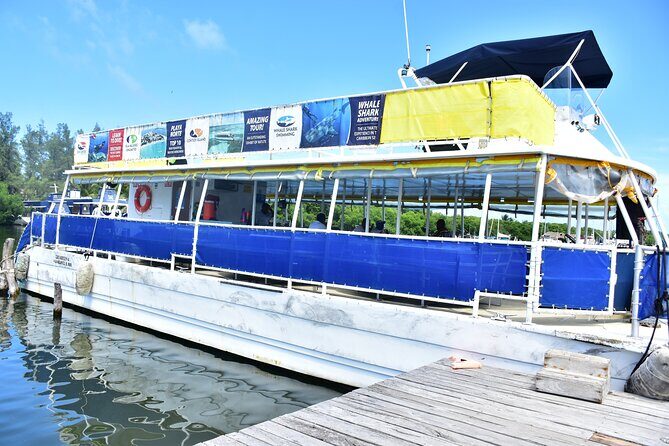 Tour Contoy Magic Island! Round Transportation From Cancun & Playa Del Carmen - Practical Considerations