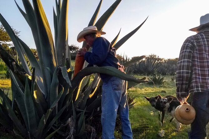 Tour de Pulque en Tepotzotlán, Pueblo Mágico - Exploring the Itinerary in Detail