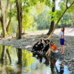 Tour en ATV Cuatrimotos + Guía + Traslados - Key Points