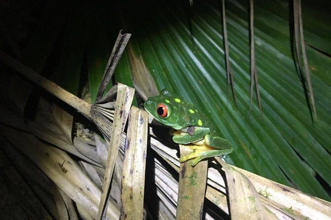 Tour Herpetologico - The Value of the Experience