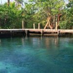 Tour Holbox Enjoy the nature only from Playa del Carmen - What’s Included & What’s Not