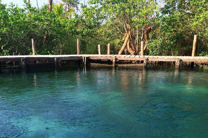 Tour Holbox Enjoy the nature only from Playa del Carmen - What’s Included & What’s Not