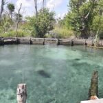 Tour Holbox - Magic Island! Round Transportation from Tulum - Overall Value and Experience