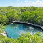 Tour Holbox Plus from Riviera Maya - How the Day Unfolds: A Detailed Breakdown