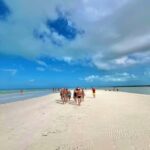 Tour in Italian in Holbox - Who Is This Tour Best For?