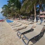 Tour in the Hacienda del Tequila - Authenticity and Highlights