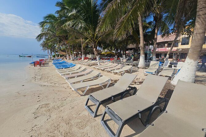 Tour in the Hacienda del Tequila - Authenticity and Highlights