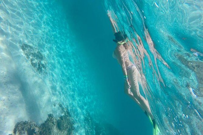 Tour islands Marietas Snorkeling and Nopalera Beach - Who This Tour is Best For