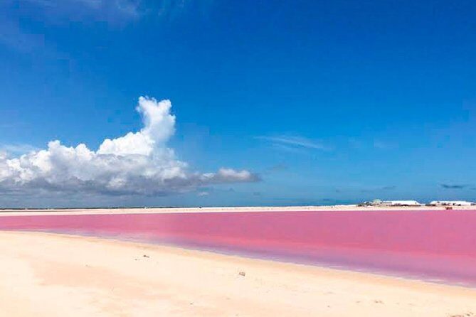 Tour Las Coloradas & Rio Lagartos only from Tulum - Practical Details