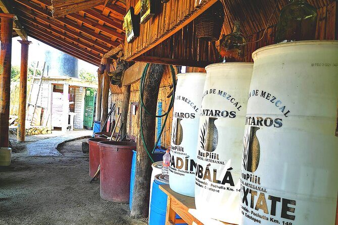Tour Los Caminos del Mezcal Café and Pedal Loom Factory - Overview of the Tour Experience