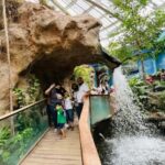 TOUR "Museo del Desierto" + Traslados + Tickets incluidos - Saltillo’s Historic Center: A Taste of Authentic Mexican Charm