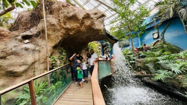 TOUR "Museo del Desierto" + Traslados + Tickets incluidos - Saltillo’s Historic Center: A Taste of Authentic Mexican Charm