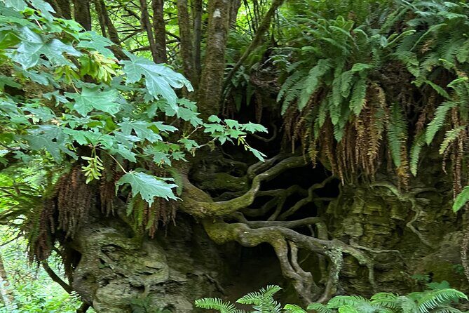 Tour of Fort Clatsop, Youngs River Falls & Warrenton Countryside - An In-Depth Look at the Tour Experience