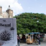 Tour of Mezcalerias in the City - What’s Included and What Matters