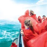 Tour of Niagara Falls with Boat Cruise - Authentic Experiences and What Travelers Say