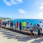 Tour of North Shore & Waimea Waterfall - Final Thoughts