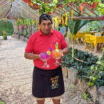 TOUR OF THE 4 BACABES : EXPERIENCE WITH MELIPONA BEES - What You’ll See and Do