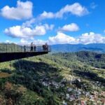 Tour of the Sierra Juárez, Ixtlán, Guelatao and Capulálpam - The Practical Side: What You Need to Know