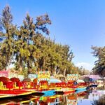 Tour of Xochimilco and The World of Frida Kahlo - Who Will Love This Tour?