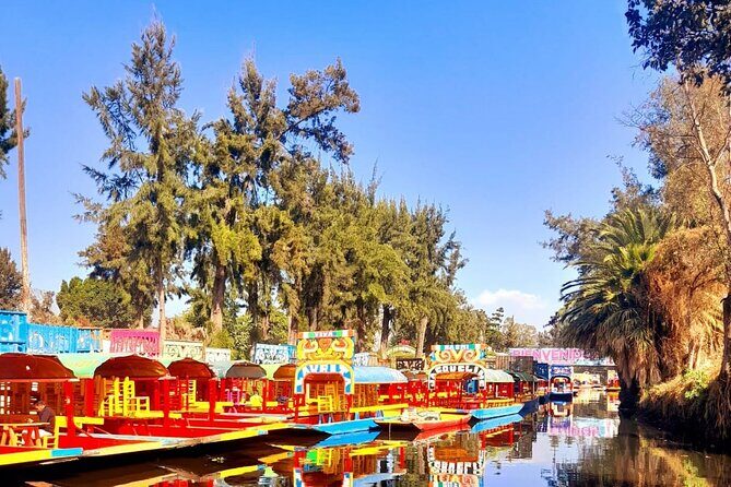 Tour of Xochimilco and The World of Frida Kahlo - Who Will Love This Tour?
