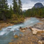 Tour of Yoho National Park See Canada's Second Highest Waterfall - Who Is This Tour Best For?
